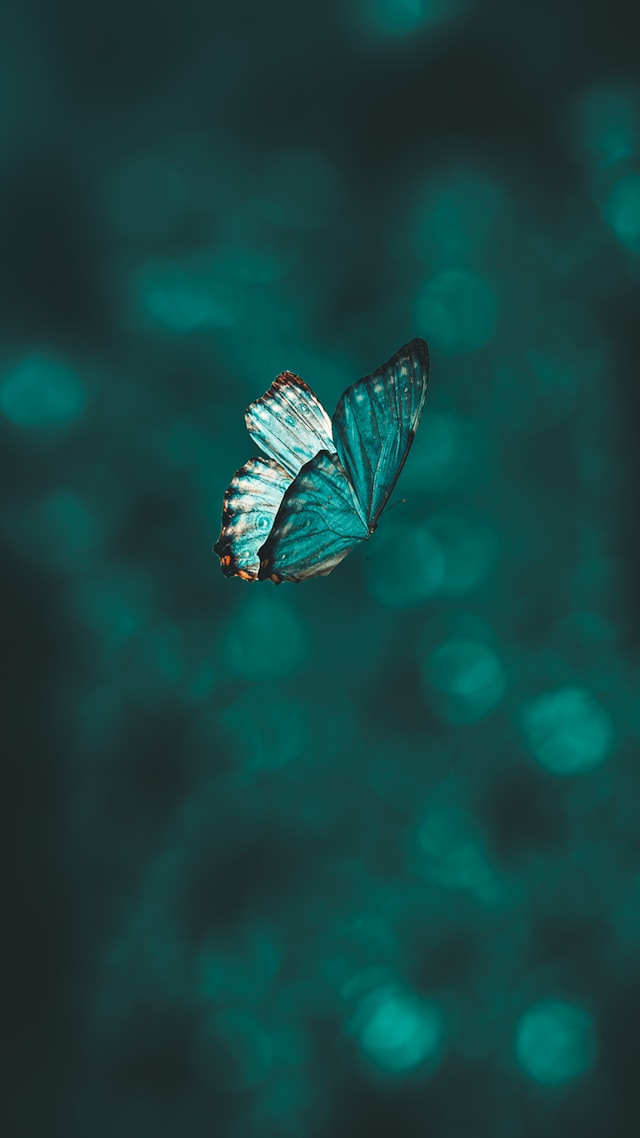 aarn giri IBhsB71R97k unsplash